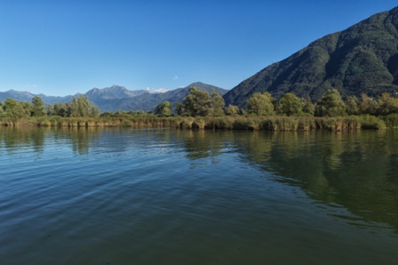 Bolle di Magadino (CH)